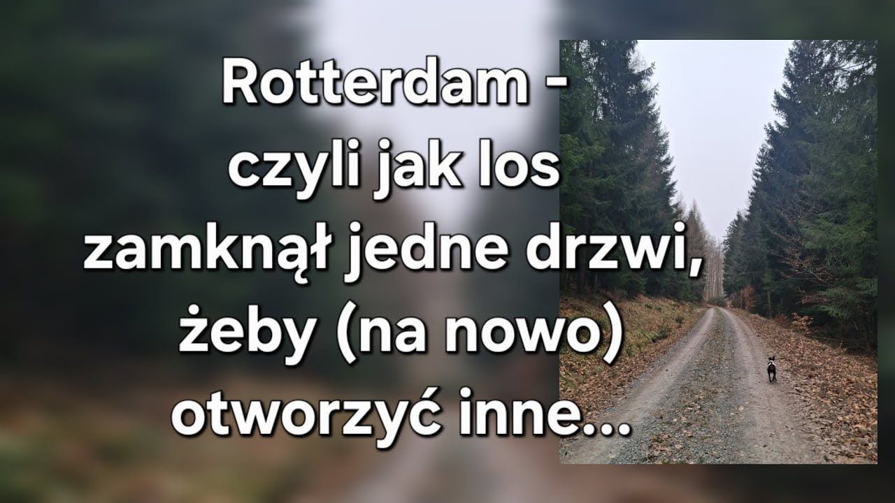 Rotterdam, opóźnienie i nieprzypadkowe spotkanie | Życie w trasie @TruckingFitGioia