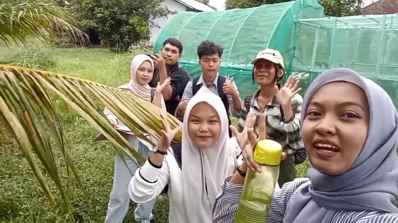 Pengamatan penyakit tanaman pada tanaman durian da kelengkeng