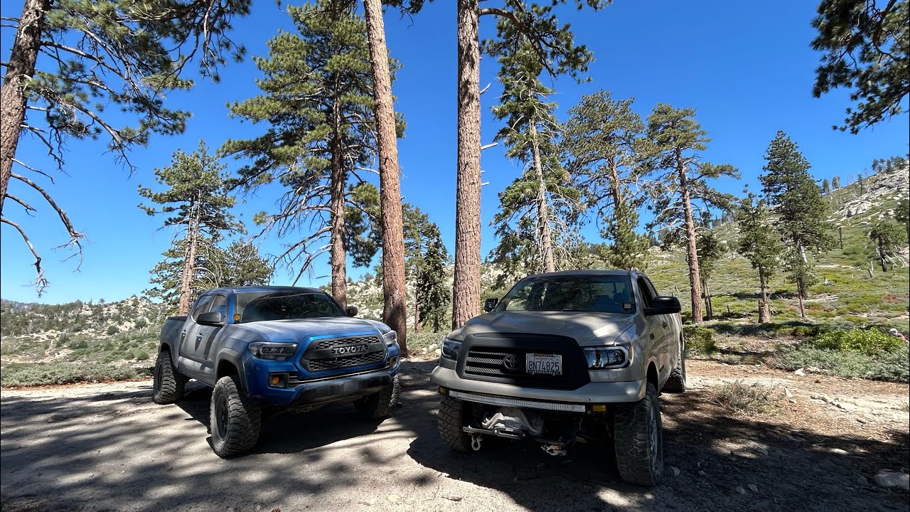 Taco and Tundra visit fire tower in big bear ca!