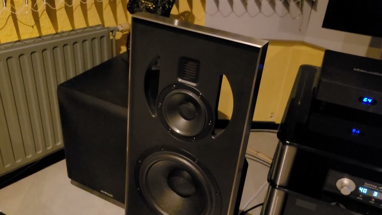 Daudio C1 speakers
