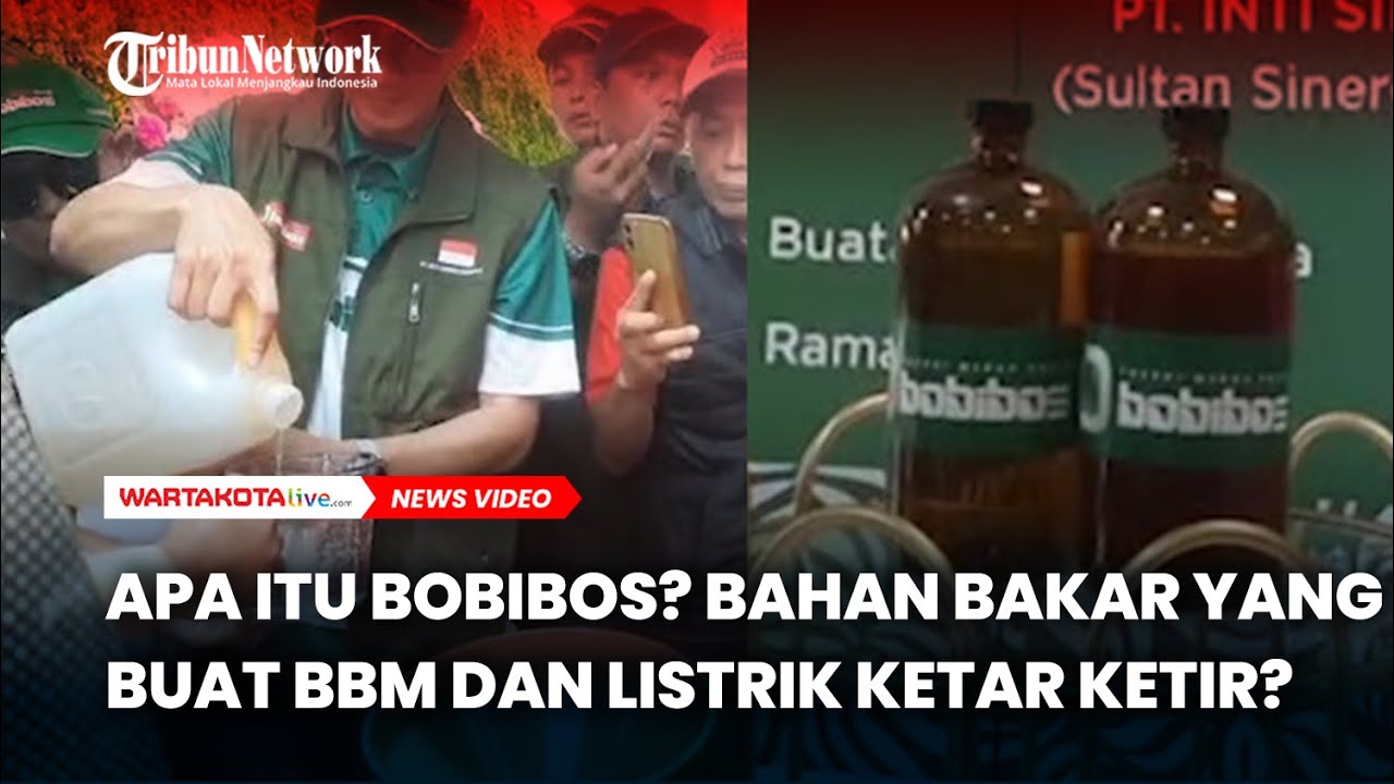 Apa Itu Bobibos? Bahan Bakar yang Buat BBM dan Listrik Ketar Ketir?