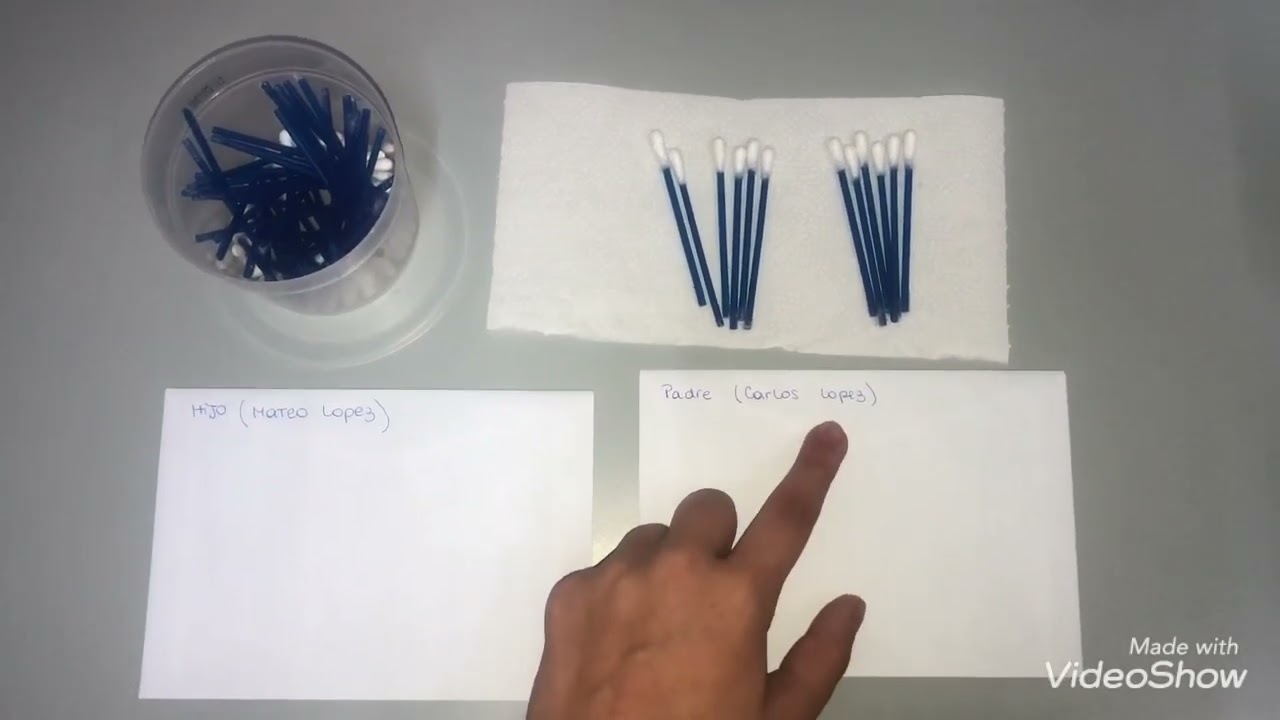 PRUEBA DE ADN A DISTANCIA PASO A PASO 🧬