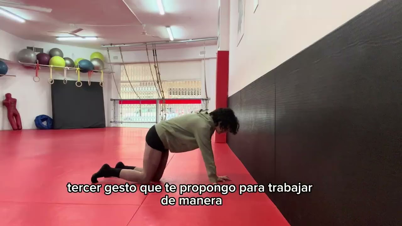RUTINA DE ISOMÉTRICOS PARA TRABAJAR LA MUSCULATURA PROFUNDA 🐒💥🦍