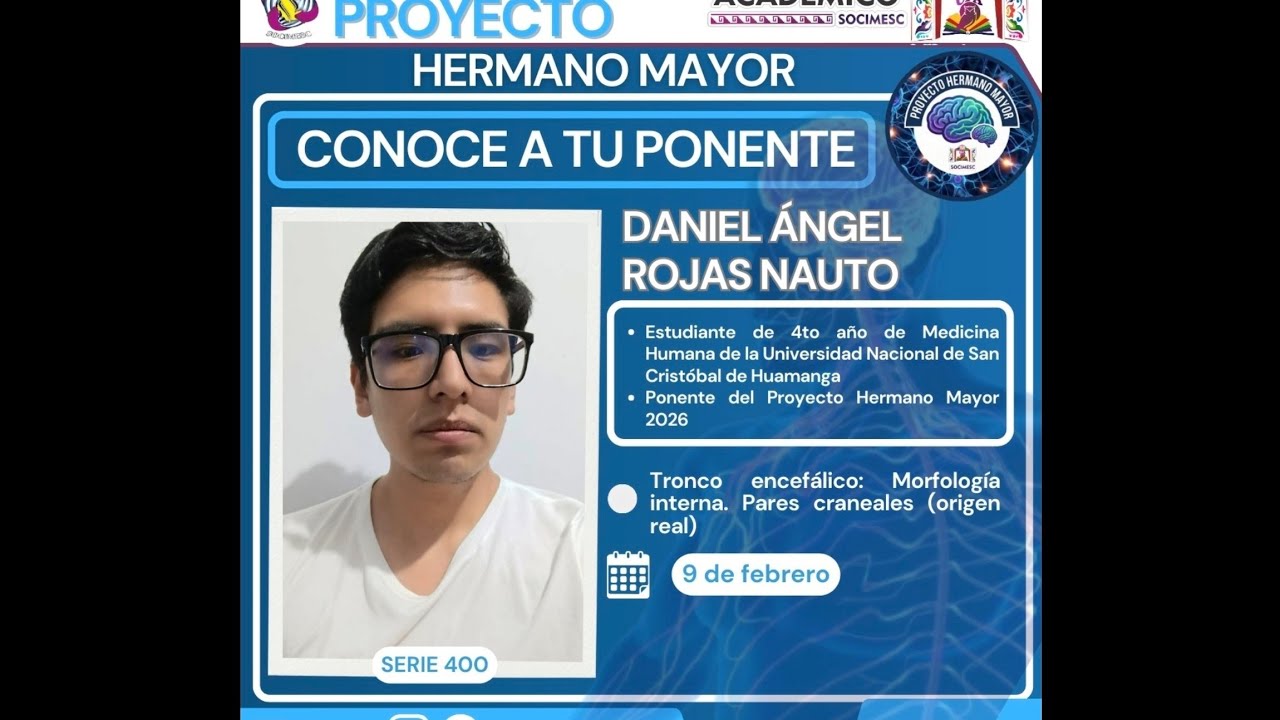 🧠 PHM : Sistema nervioso : Tronco encefálico:morfología interna