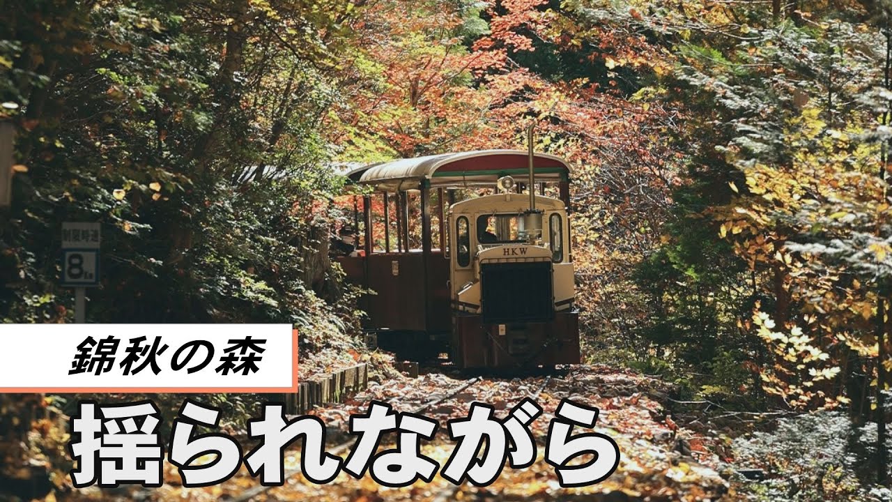 錦秋の森 揺られながら　長野・赤沢森林鉄道