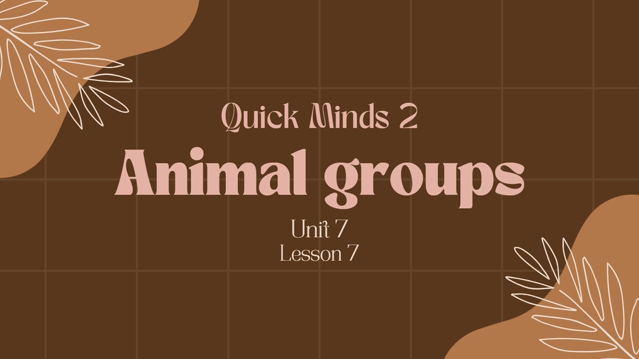 Quick minds 2 Unit 7 Lesson 7 Animal groups