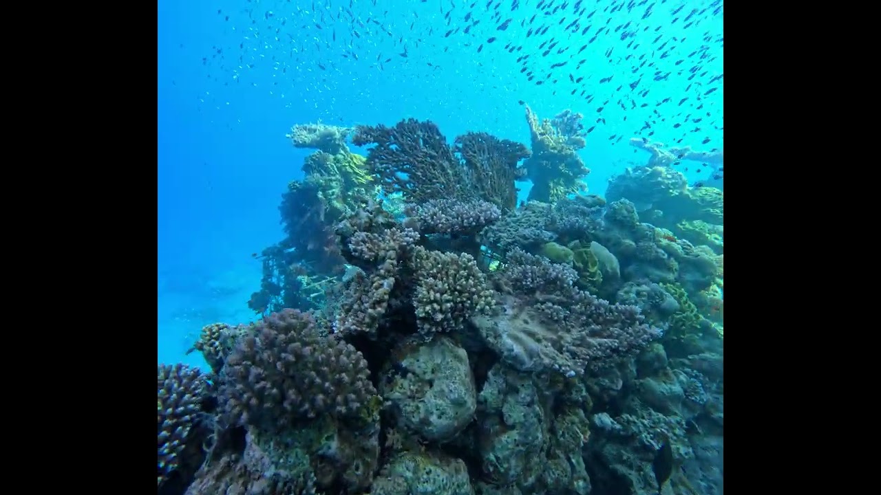 Eilat's Coral World Underwater Observatory at Sunset &ndash; Majestic Marine Scene