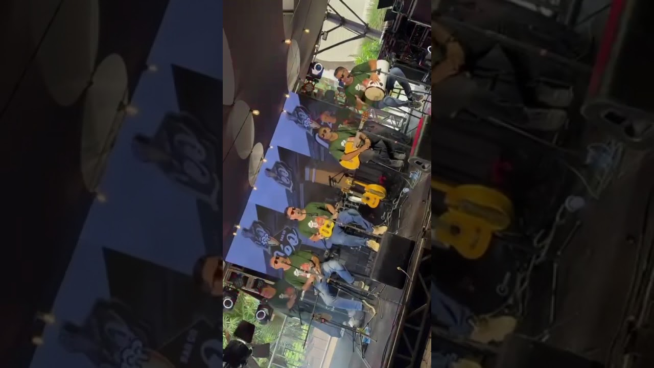 Alegria de domingo , grupo sabadabada #samba