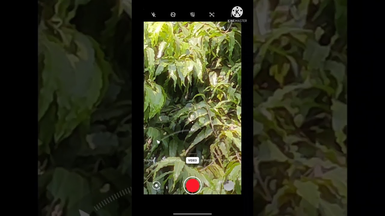 In OnePlus how to get Ultra wide and 10x zoom while shooting video