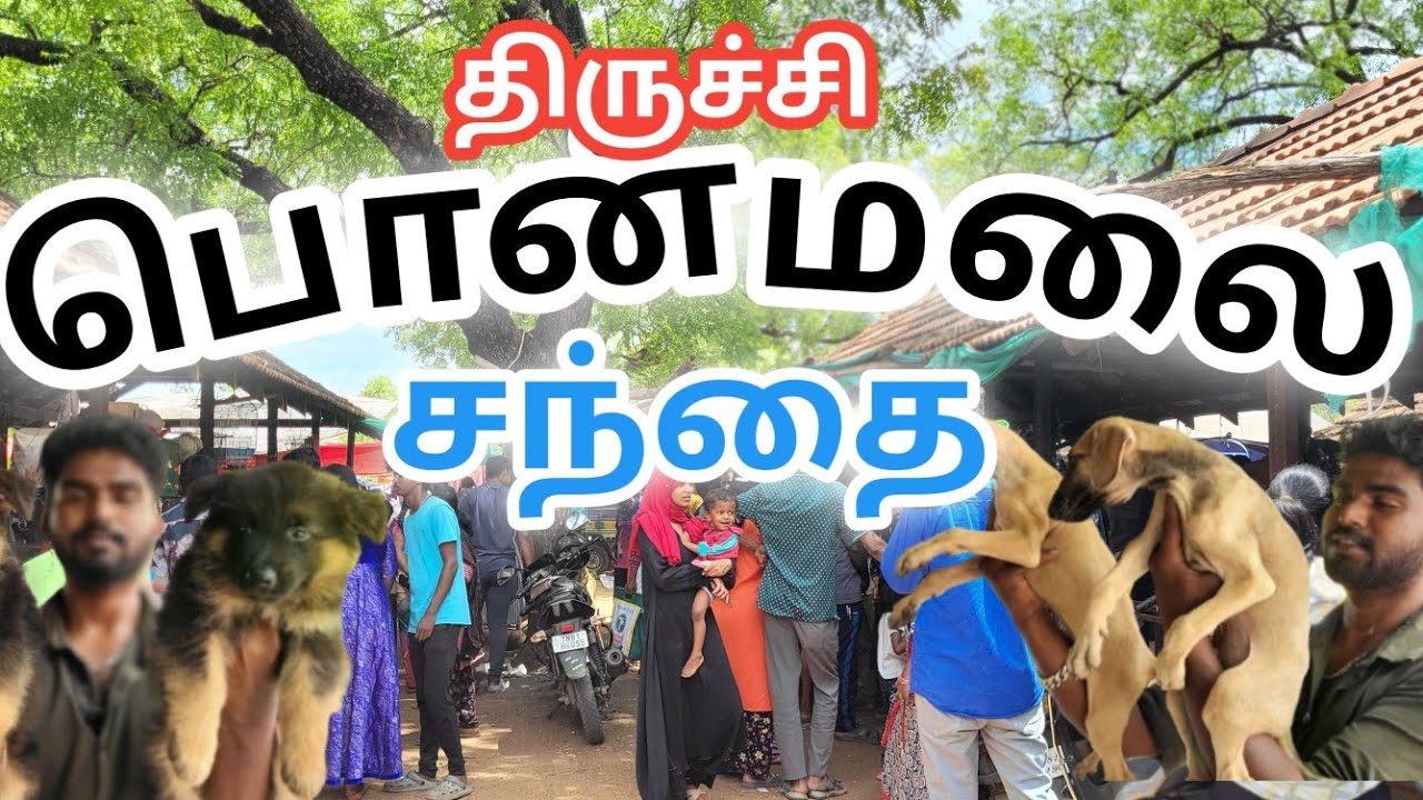 திருச்சி பொன்மலை சந்தை  pets and bird market #திருச்சி #பொன்மலை#சந்தை