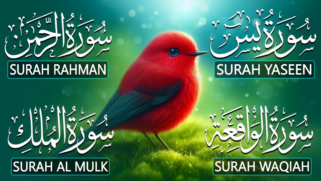 Magical Recitation Surah Yaseen (Yasin) | Surah Rahman | Surah Waqiah | Surah Mulk