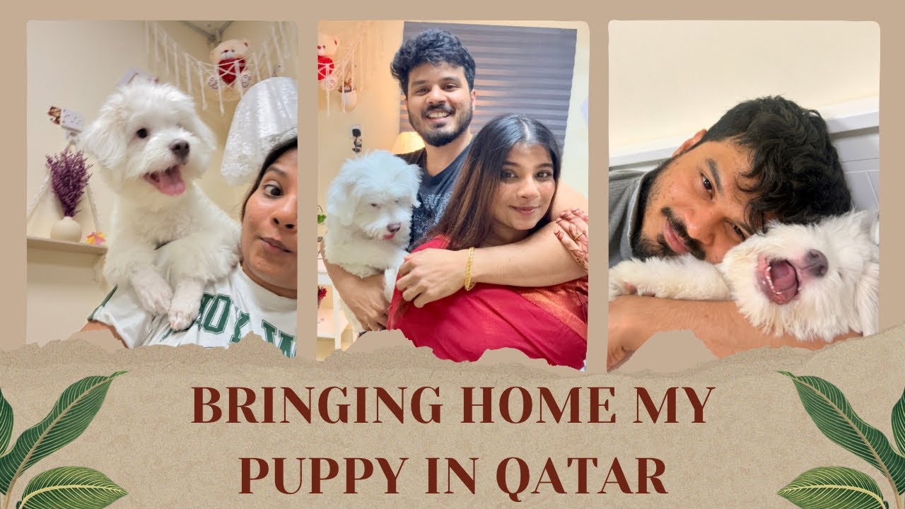 Puppy Shopping in Qatar 🐶 | Everything You Should Know Before Adopting or Buying | Complete Guide ❤️