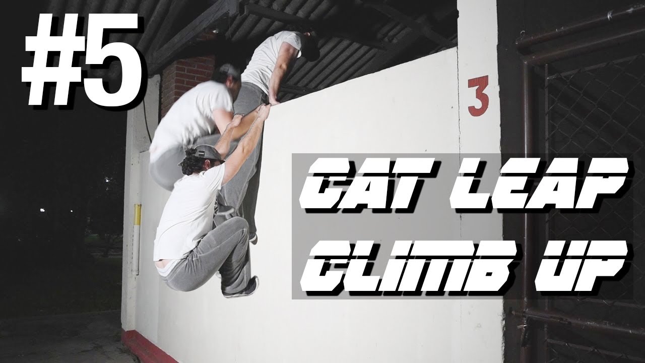 Tutorial #5 - Cat Leap/ Climb Up