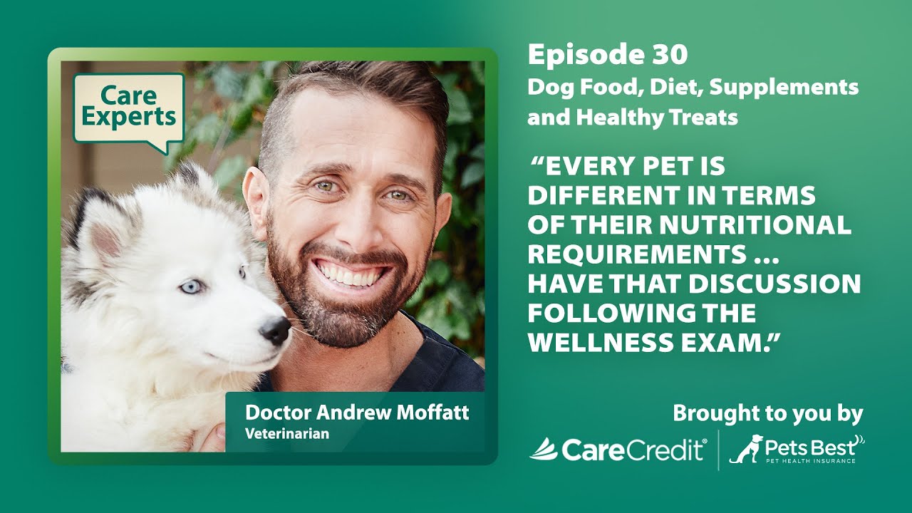 Dog Food, Diet, Supplements and Healthy Treats With Dr. Moffatt | Care Experts by CareCredit