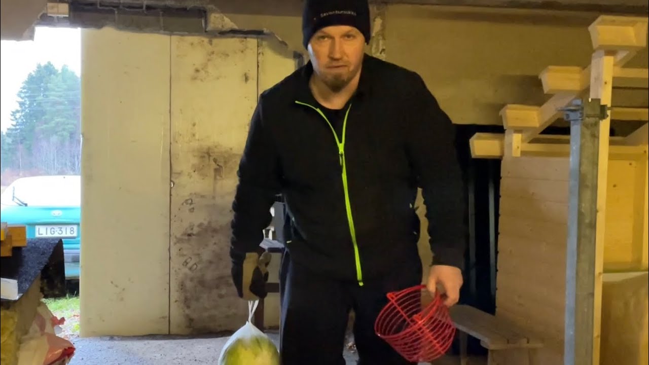 Nyt oli onnettomuus lähellä ja kanoille uutta virikejuttua