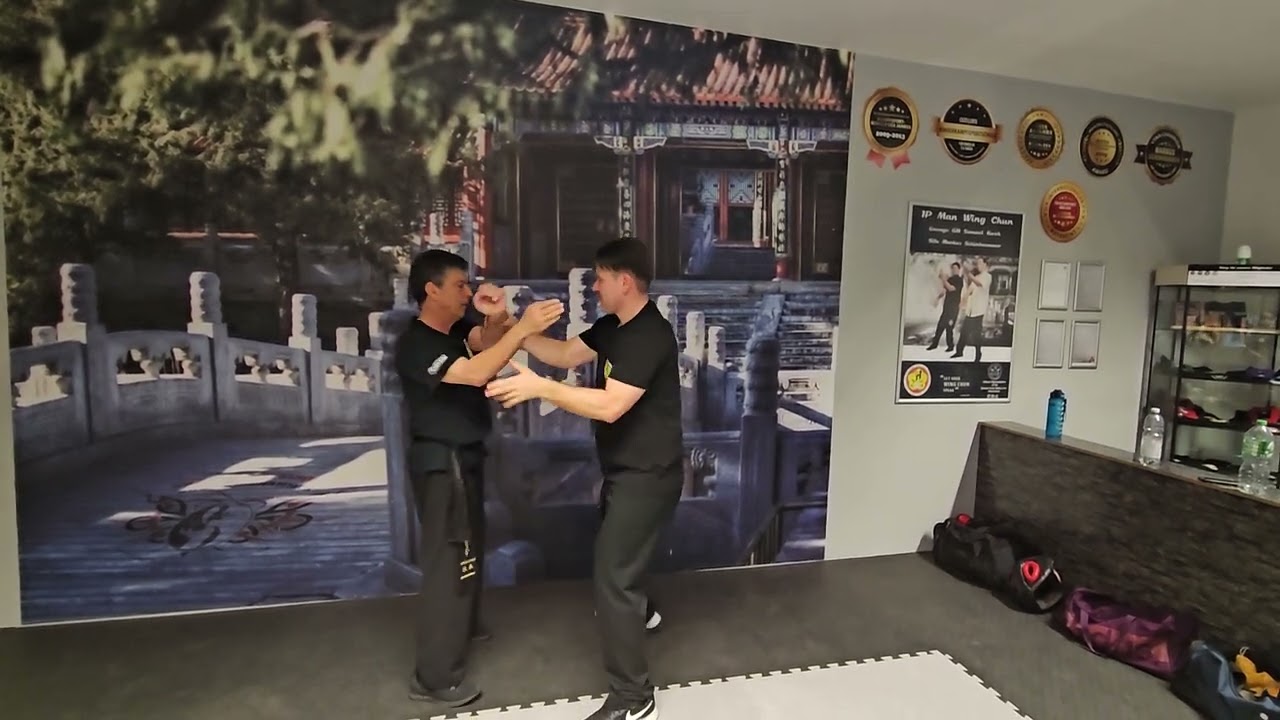 Freies Wing Chun Chi Sao Training