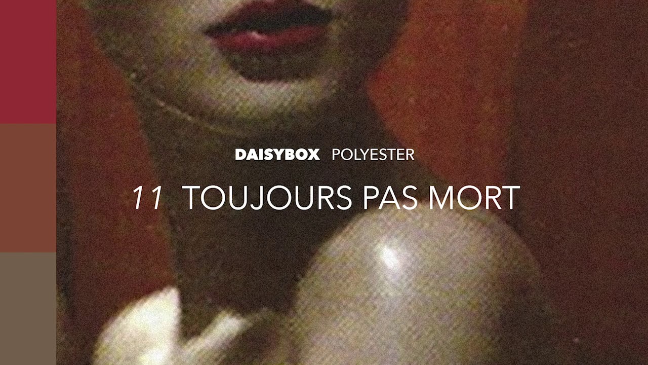 Daisybox - Toujours Pas Mort