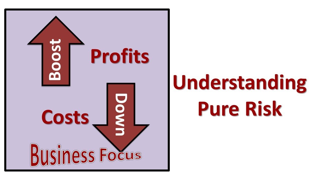 Understanding Pure Risk