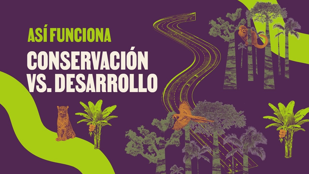 El choque entre desarrollo y protección del medioambiente en la Amazonía