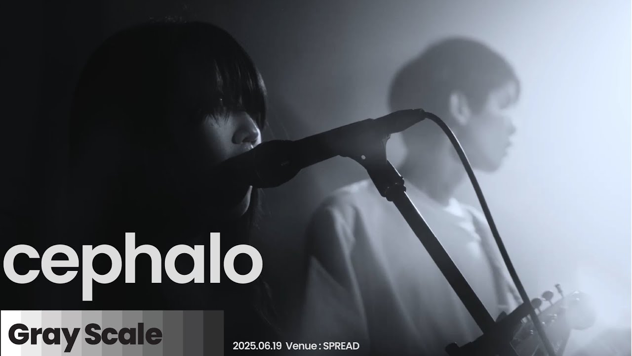 cephalo - 夜窓  | Gray Scale 2025/06/19