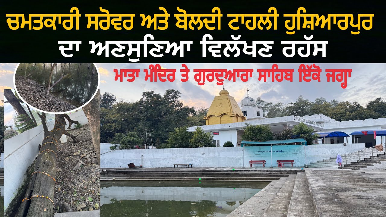 चमत्कारी सरोवर और बोलती टालही हुशियारपुर का अनसुना रहस्य”माता मंदिर और गुरुद्वारा साहिब एक ही जगह”
