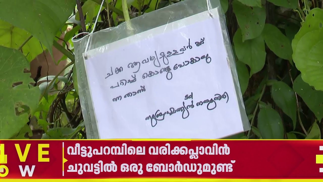 കൗതുക കാഴ്ചയായി വരിക്കപ്ലാവിൻ ചുവട്ടിലെ ബോർഡ്; എഴുതിയിരിക്കുന്നത് കണ്ട് അമ്പരന്ന് നാട്ടുകാർ