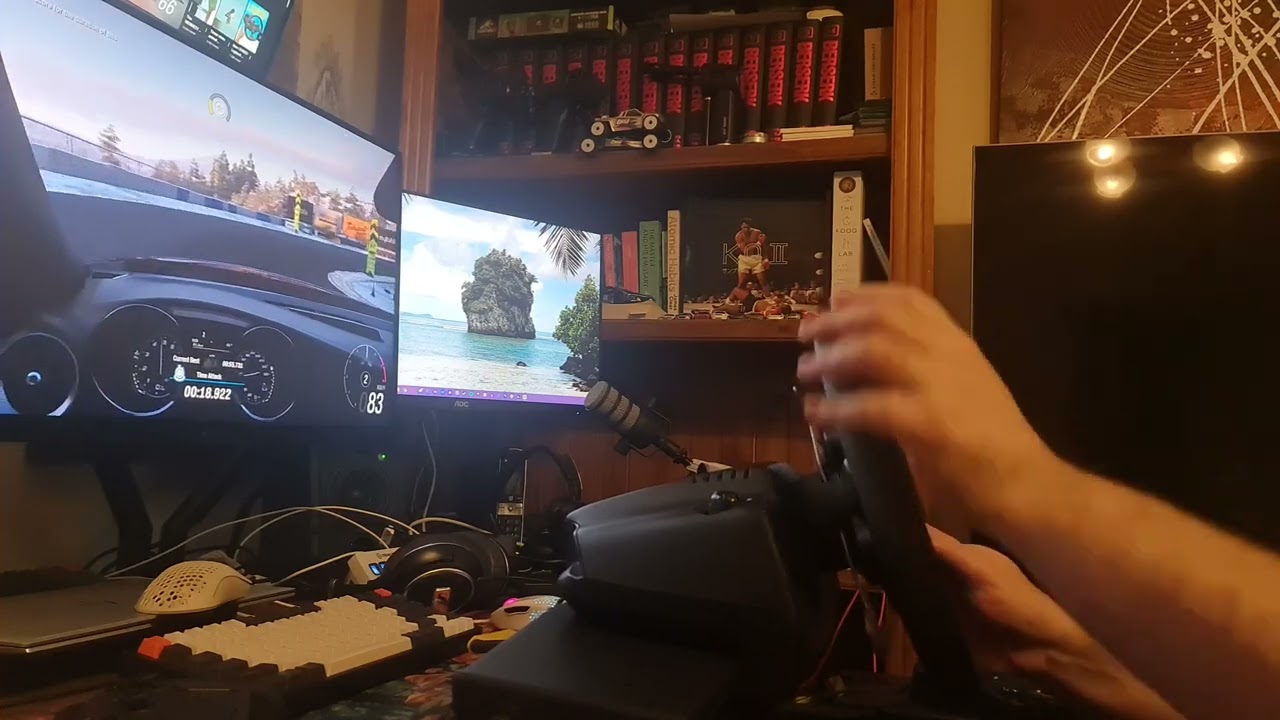 FH6 with Logitech G29 custom settings for realistic drive.