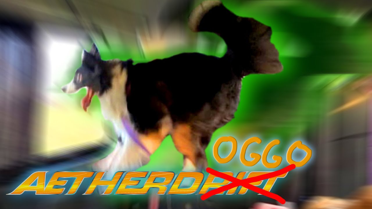MTG Aetherdrift Spoilers - Part 4 - Enter the Doggo!