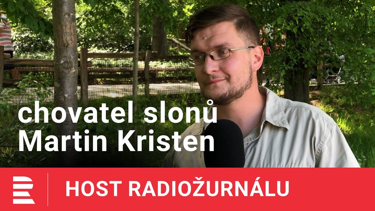 Martin Kristen: Doba dospívání slonů je dlouhá, existuje mnoho nebezpečí, vyhráno bude tak za 10 let