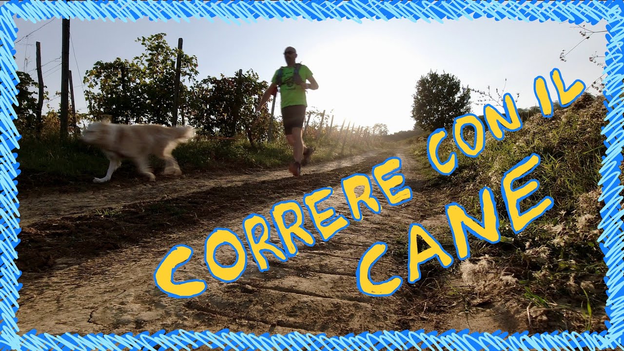Correre con il cane