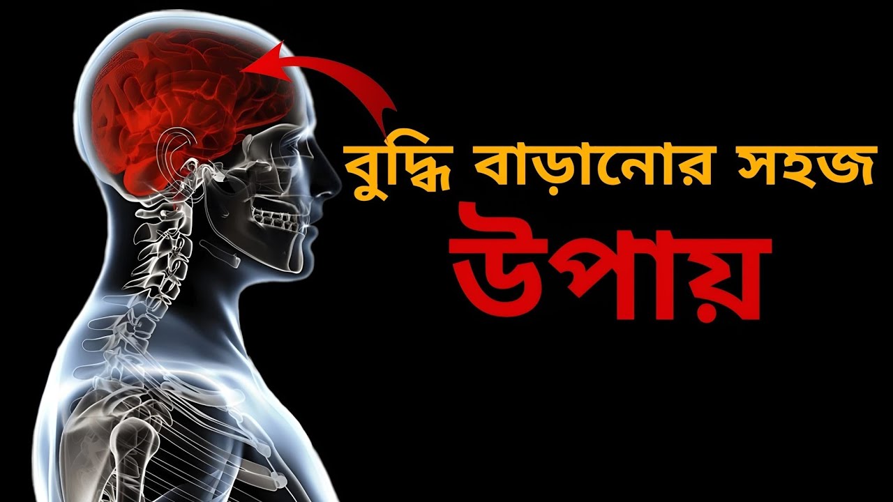 How To Increase Your Brain Power | Tips To Improve Mental Power | Bengali