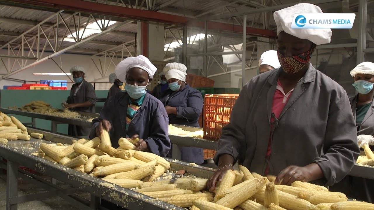 Kenya To The World: Njoro Canning Factory - Sharing A Taste of Kenya with the World