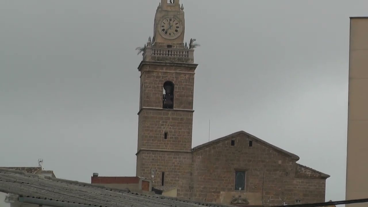 Alce i Volteig de Festa - Albaida // Rolling bells in Albaida