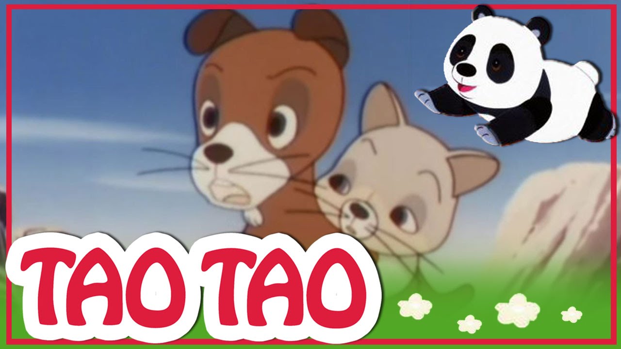 Tao Tao - épisode 31 - La grande promenade - Episode complet