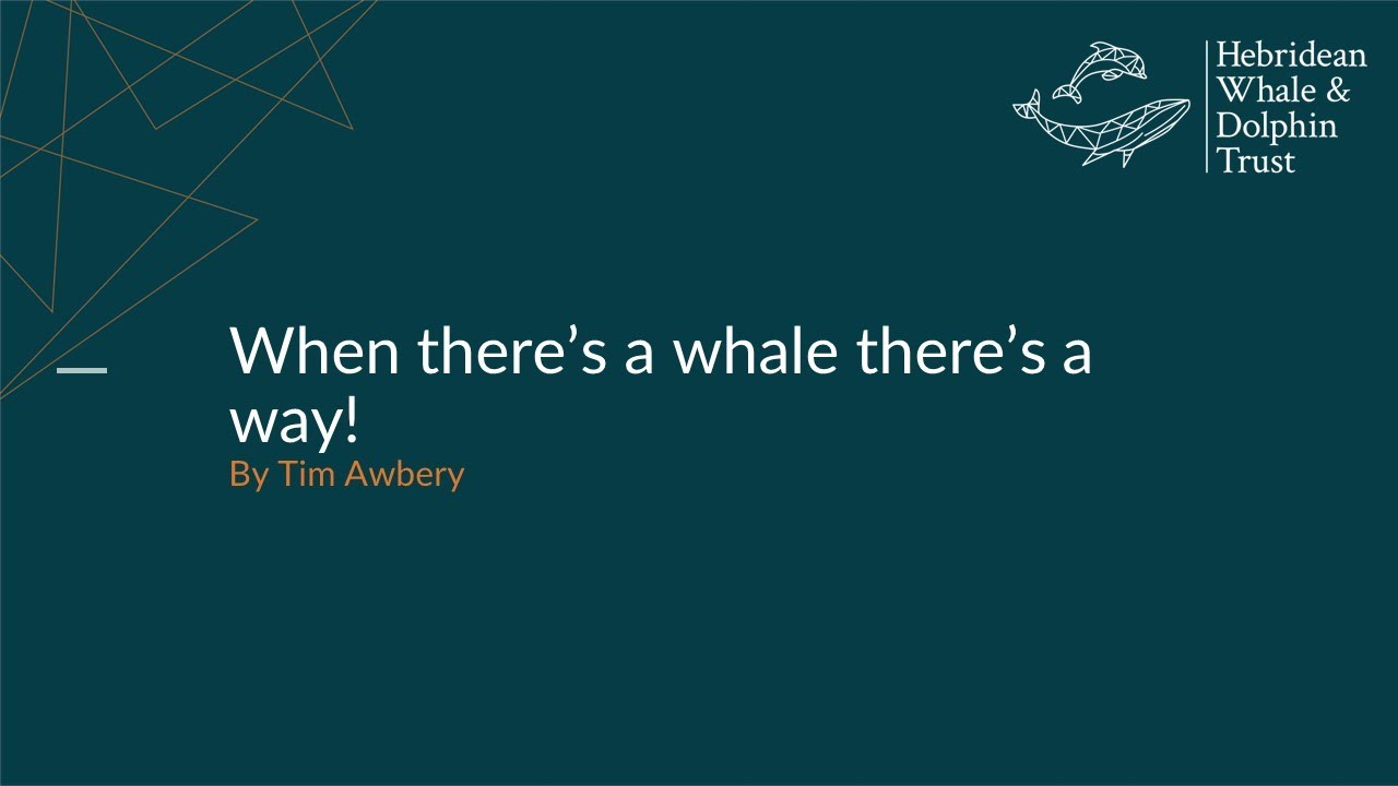 When there's a whale there's a way!
