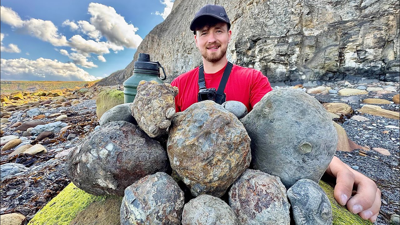 We CRACKED Giant Rocks For Fossils! Here’s What We Found Inside! 