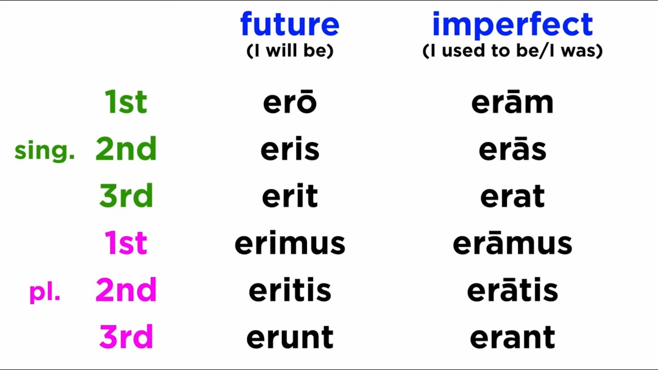 Future and Imperfect Tense for the Latin Verb Sum