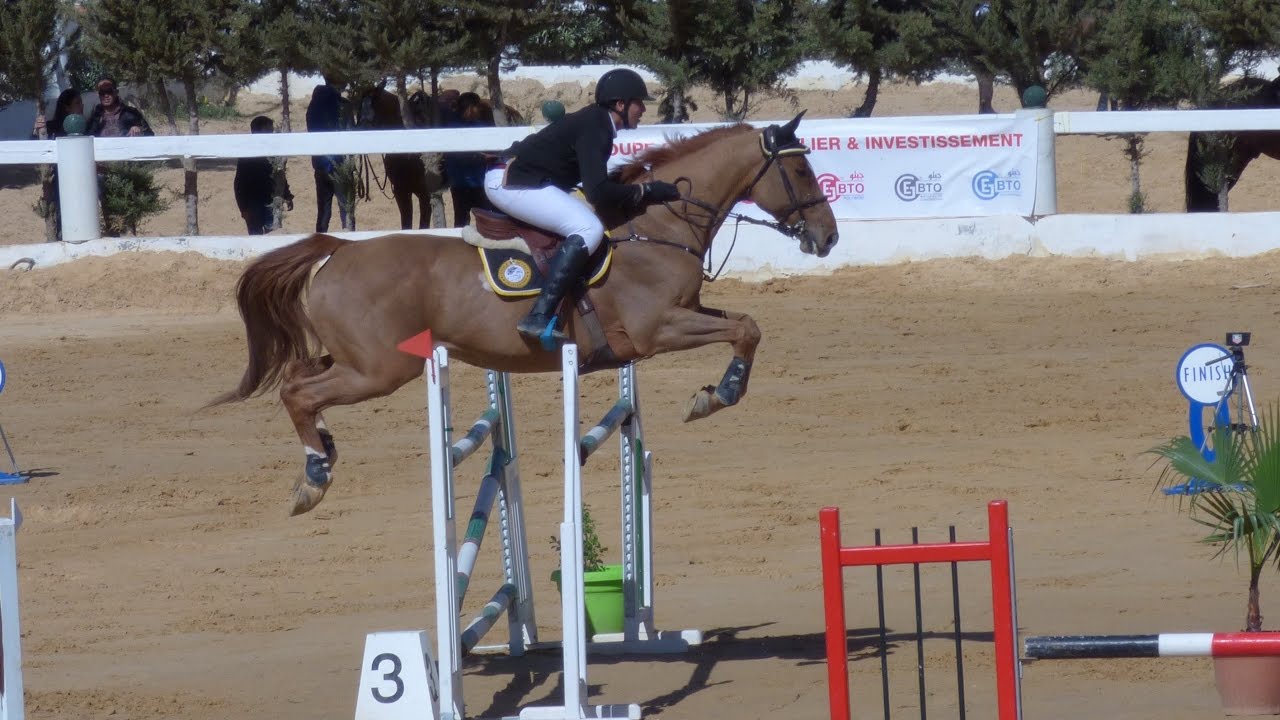 Centre équestre Beni-Ameur (Sidi Bel Abbès): Concours national de sauts d'obstacles