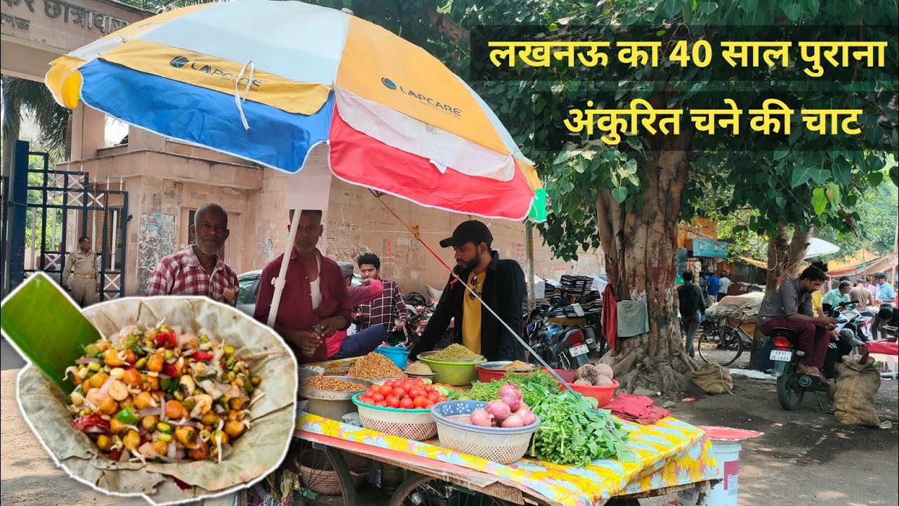 लखनऊ का 40 साल पुराना अंकुरित चाट| Indian Street Food | Sprout Chat |