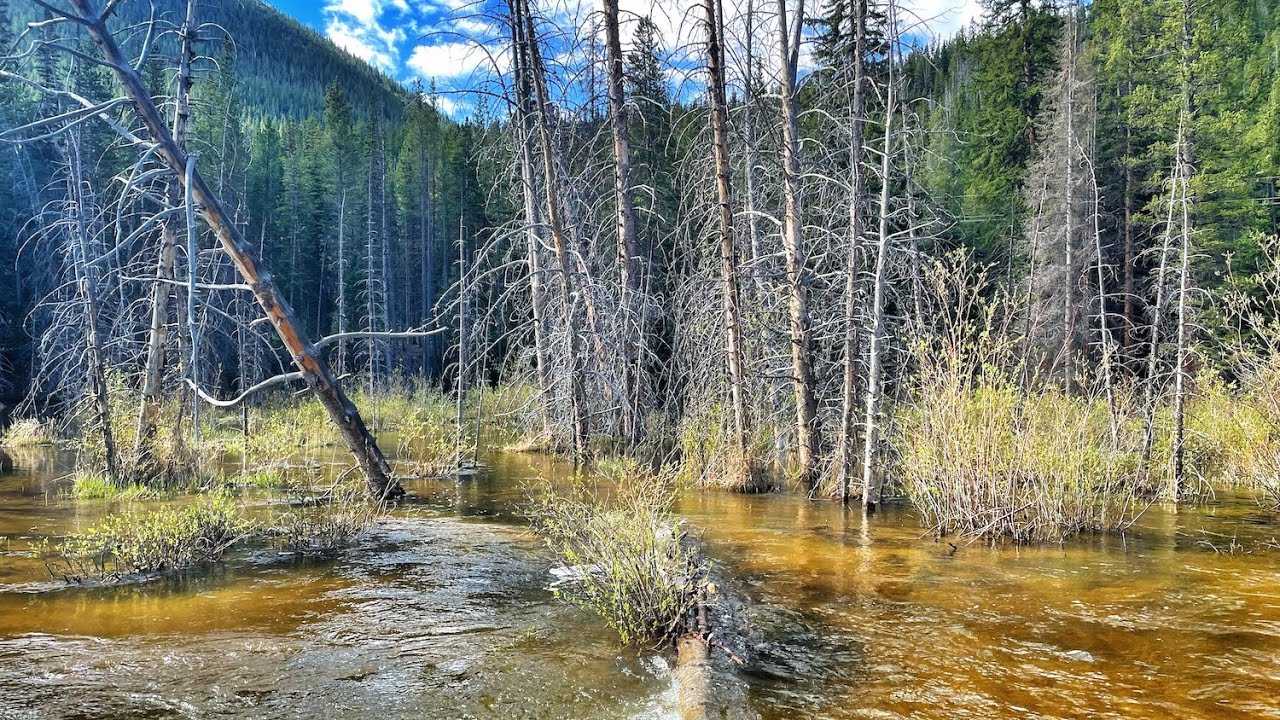 Searching For New Streams | Tenkara Fishing In Colorado