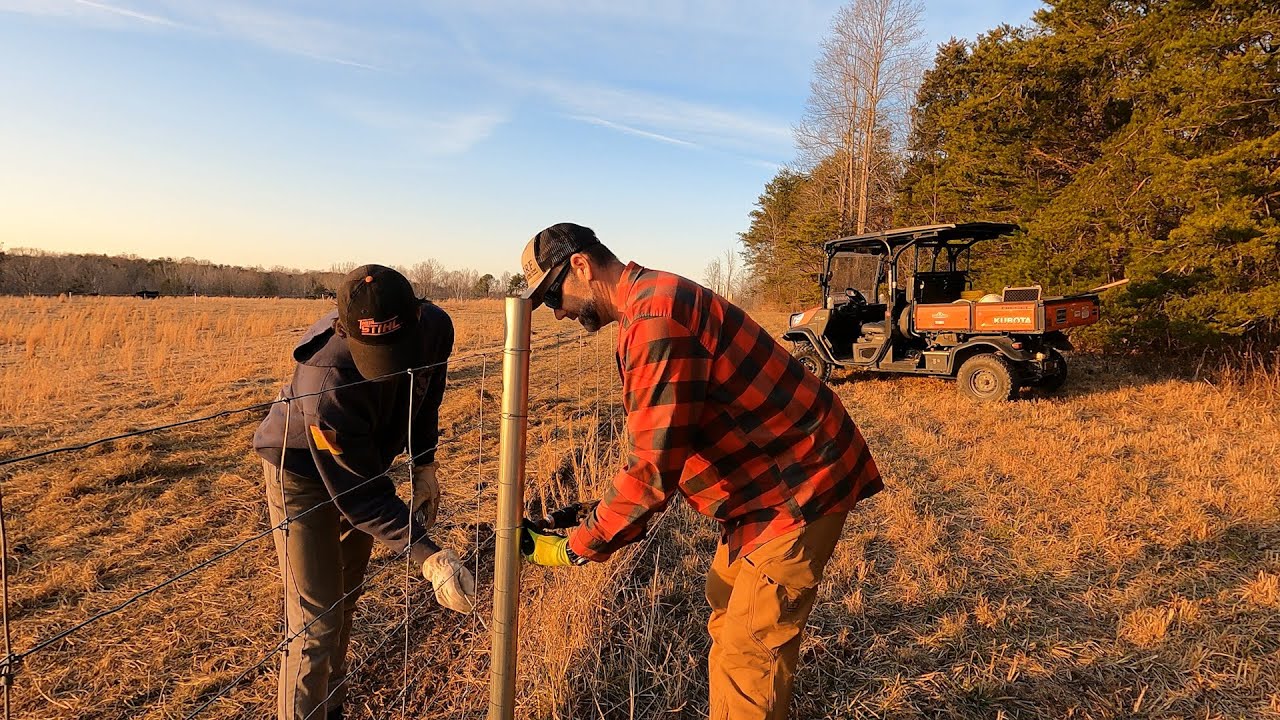 Never thought I'd be doing this! A day in the life on the farm