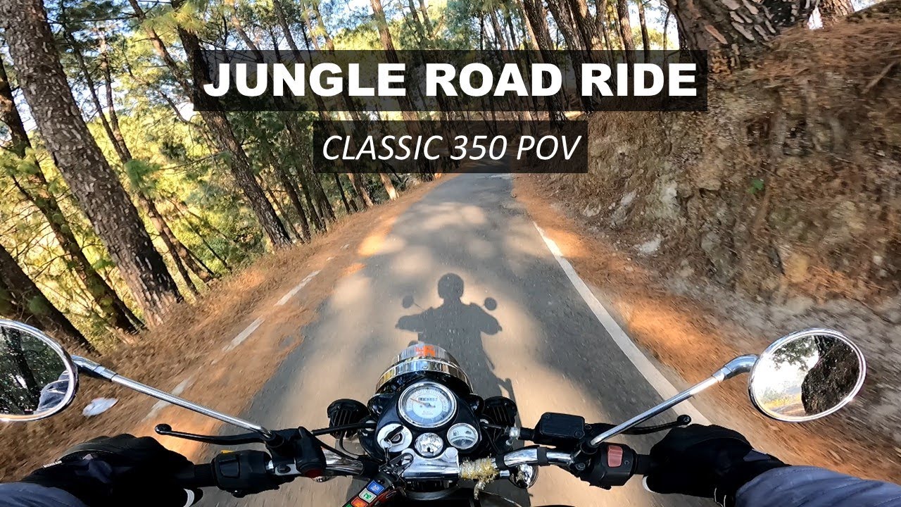 Royal Enfield Classic 350 POV Ride | Jungle Road to Tea Gardens 🌿