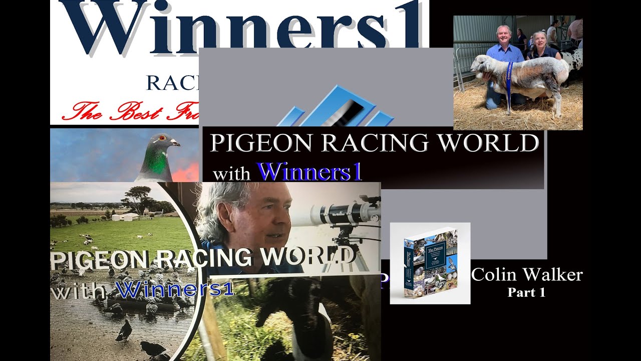 Renowned pigeon veterinarian part 1. from Pigeon Racing World with Winners1 Series 1 program 9.