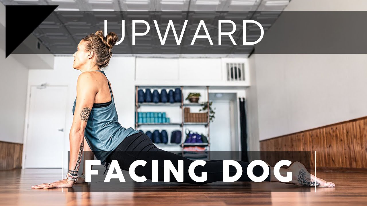 Upward Facing Dog Tutorial | Breathe and Flow Yoga