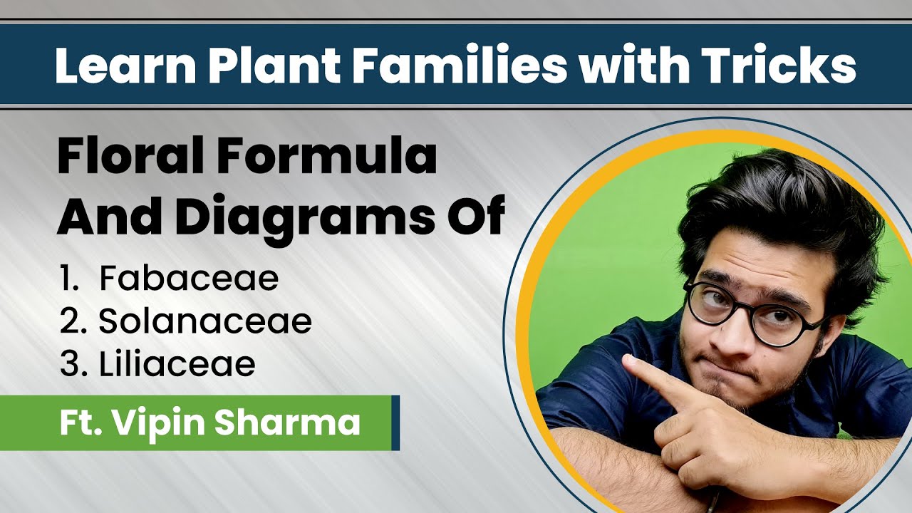 Trick Lecture for Floral Formula and Floral Diagrams of Plant Families | Tricks to Learn Examples