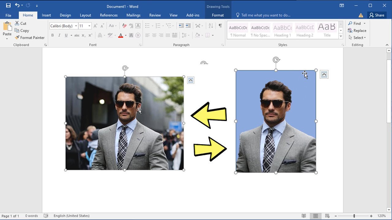 How to remove the background of a picture in word 2016 2013 2010 2022
