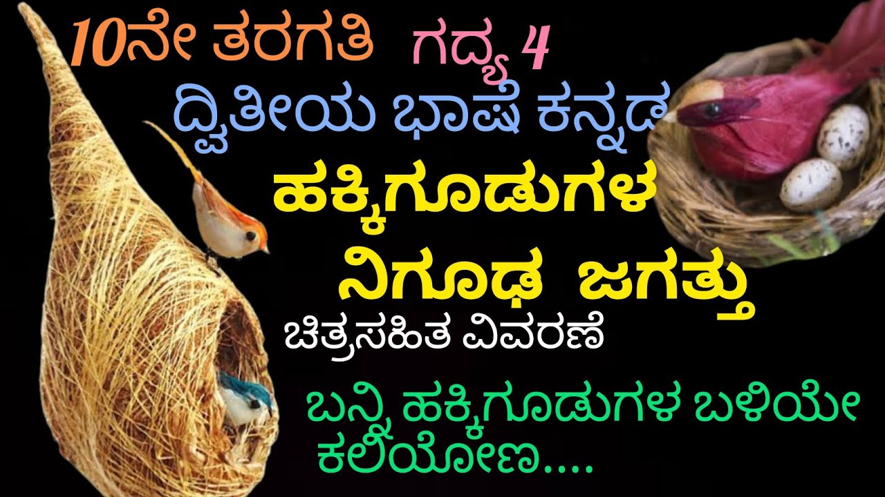 10th standard |ಹಕ್ಕಿಗೂಡುಗಳ ನಿಗೂಢ ಜಗತ್ತು |ದ್ವಿತೀಯ ಭಾಷೆ  Lesson-5|Hakkigala niguda jagattu|@Thejaswini