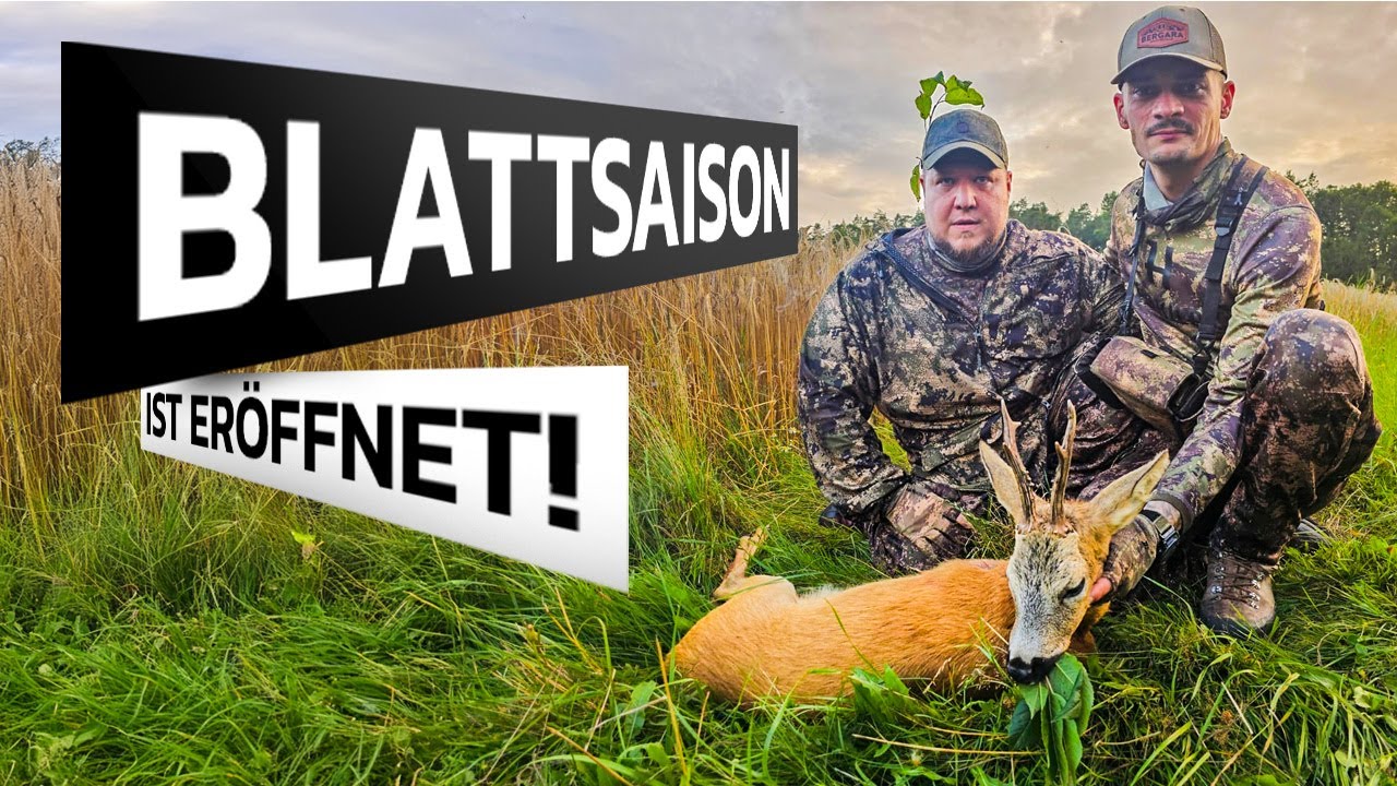 Blattjagd! Die Böcke sind bereit, du auch? #nordjagd