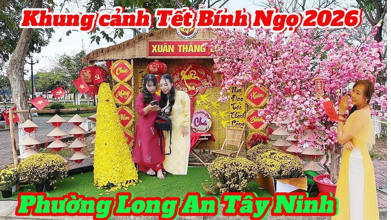 Cập nhật chợ hoa xuân Bính Ngọ 2026 tại Phường Long An Tây Ninh