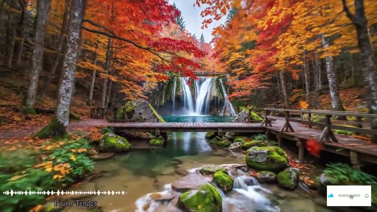 Embrace Gentle Grace and Divine Light to Begin Your Day in This Morning Prayer